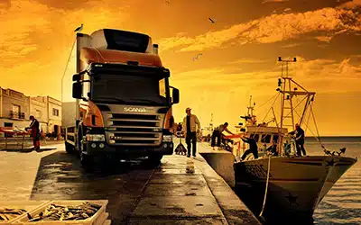 LTL-Img