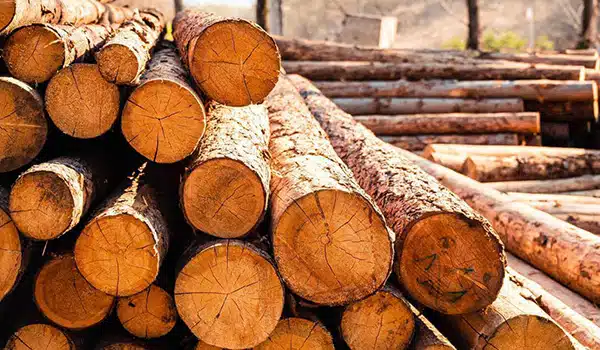 Wood-Industry-Img